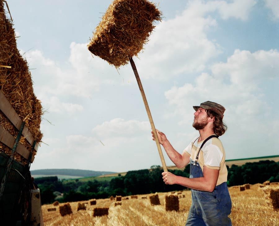 ein bauer hebt mit einer heugabel einen heuballen zum wagen hoch / a farmer lifts a bale of hay to the cart with a pitchfork

Auftrag / Commission: STERN, Sommer in Deutschland / summer in germany (west) 1989