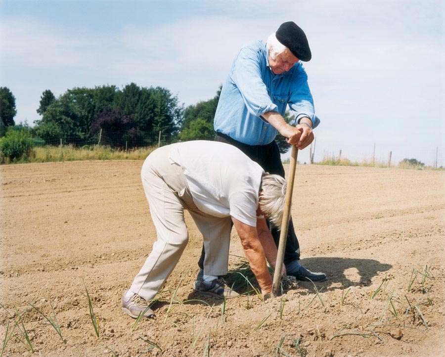 Margret und Walter pflanzen Porree / Margret and Walter, planting leeks 2006 // High noon. The sun was burning our brains. We were thirsty and hungry.
I remember the church bells and the situation I was in. I had been photographing Margret and Walter for years. Starting in 1998 I visited them on their land and took photographs. We became friends.
I liked the engaging and loving way in which they approached the daily chores of farming. They could have spent their sunset years in an armchair, but that would have been too boring for them. Here, in the Ruhr Vally, on the outskirts of Essen and Mülheim, Germany, they wanted to establish an ecological haven.
It was the summer of 2006. My photographic selection had already been completed. Over the years I took approx. 600 rolls of 6x7 negative  Film. An exhibition at the Odense Fototriennale in Oktober was ahead. I was printing the exhibition photographs in the darkroom but I continued to visit them from time to time on their beautiful acres of land. I still planned to take a current double portrait.
The situation was somehow bizarre. Burning heat. Walter wanted to go home for lunch but Margret said "no,  first we plant these leeks". Due to the heat I also argued to take a break and continue later in the afternoon. But Margret had made the decision and they continued to bed 'out the plants. That was good for me. I had my Makina on the tripod and watched them. I focused on the core of the situation. Two seniors working like hell in the  field. I intuitively felt that I did the ultimate portrait of them. The photograph is the cover picture of my book "The Good Earth" published by Peperoni Books in 2013 - ISBN: 978-3-941825-50-5. - It was a great pleasure to hand out the book to Margret and Walter.
© Text and Photograph : Andreas Weinand
