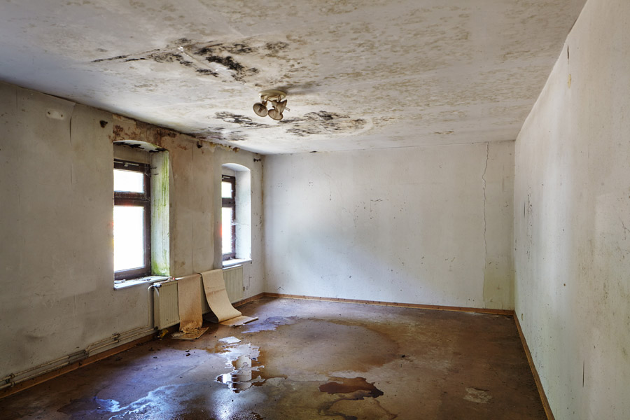 ehem. pulvermagazin: leerer, weisser raum mit verschimmelter decke und wasserlachen auf dem fussboden / former powder magazine: empty, white room with moldy ceiling and puddles of water on the floor