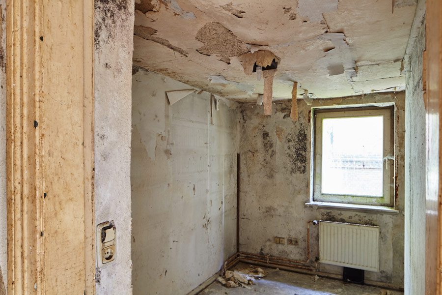 ehem. pulvermagazin: leerer raum mit abgerissenen tapeten und schimmel an den wänden / former powder magazine: empty room with torn wallpaper and mold on the walls