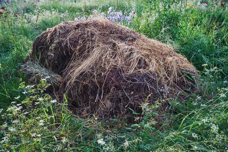 ein grünschnitt-haufen ist kein "ABFALL" sondern ein lebensraum für viele tiere. wie z.b. wildbienen, hummeln, blindschleichen, mäuse etc. // a pile of green cuttings is not "WASTE" but rather a habitat for many animals, such as wild bees, bumblebees, slow worms, mice, etc.